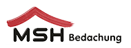 MSH Logo